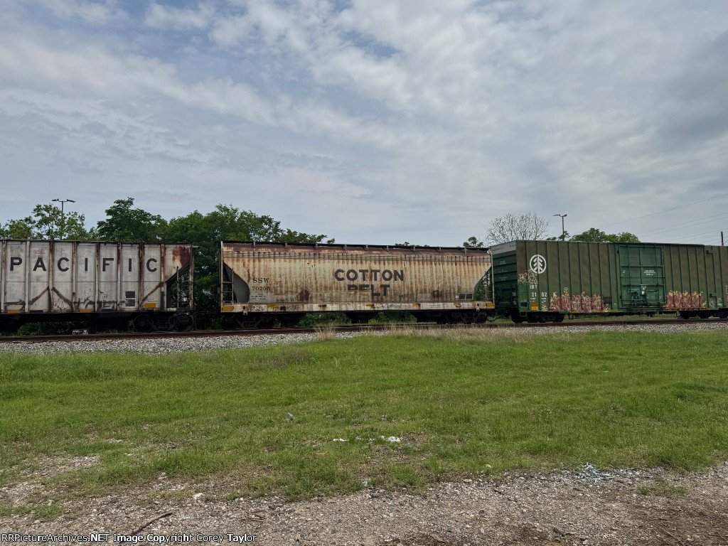 SSW 70205
